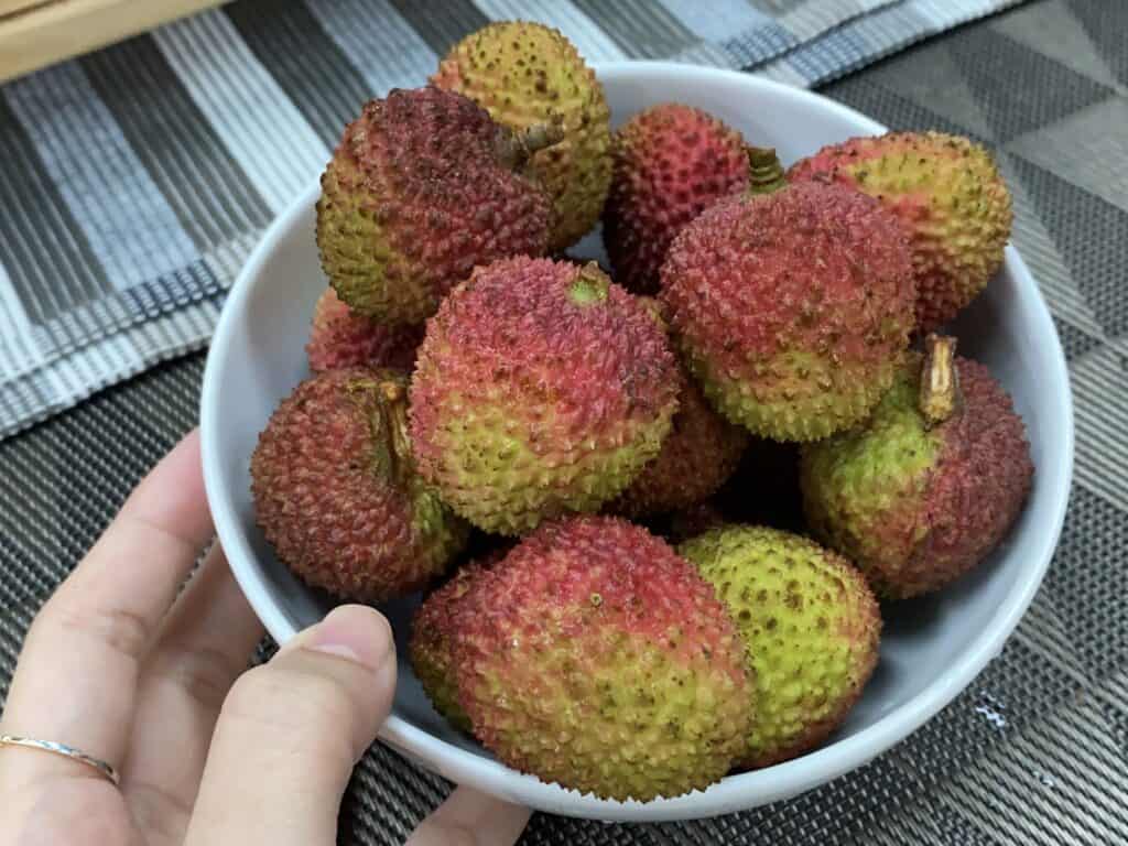 夏天水果推薦 4 :荔枝