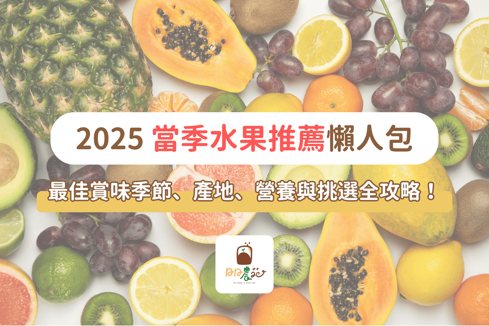 2025 當季水果推薦懶人包|最佳賞味季節、產地、營養與挑選全攻略!