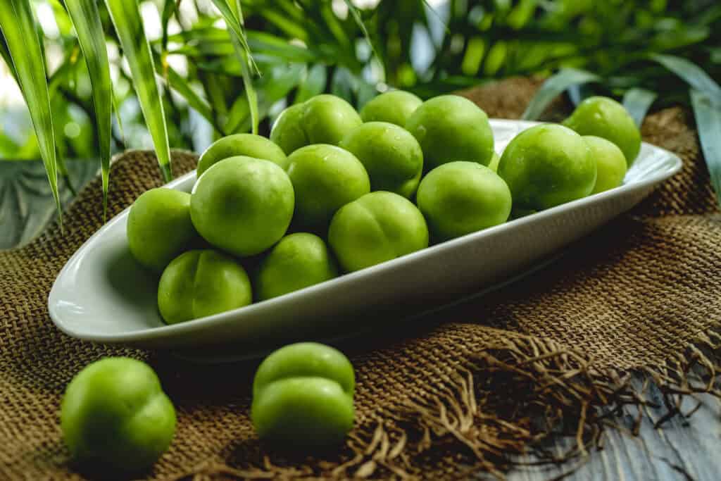春天水果推薦( 3 - 5 月)